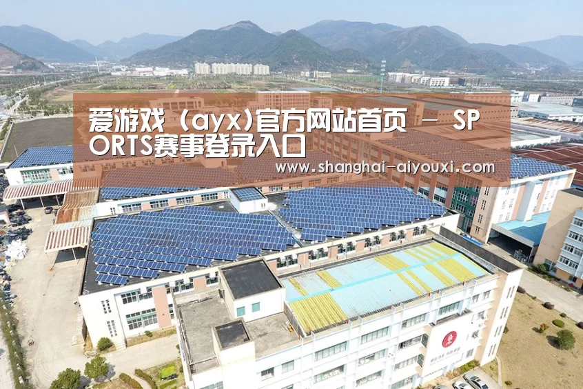 案例展示四