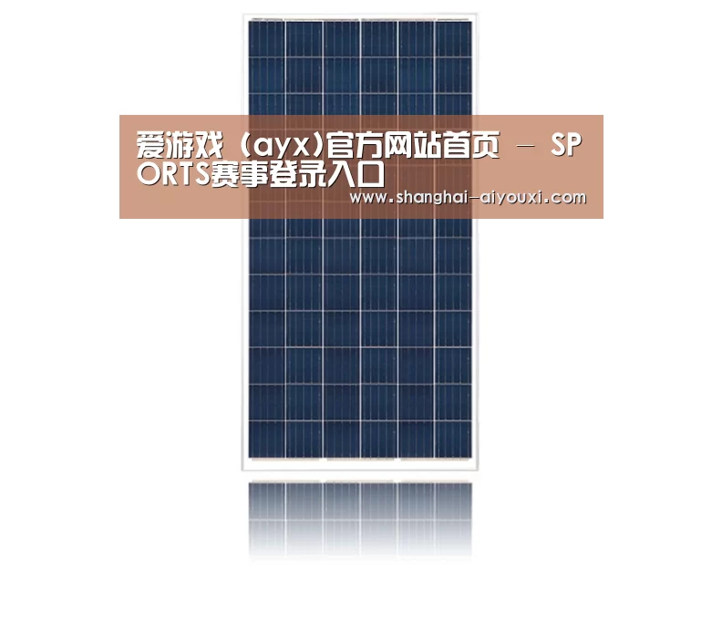 产品名称一