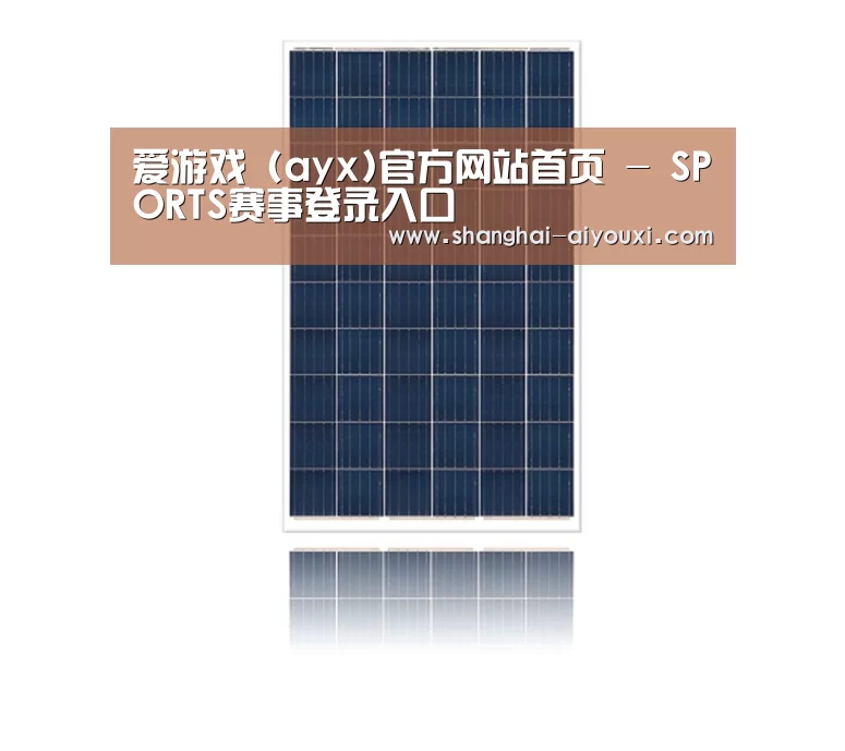 产品名称四
