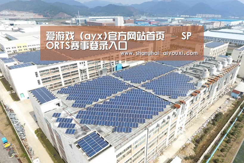 案例展示四