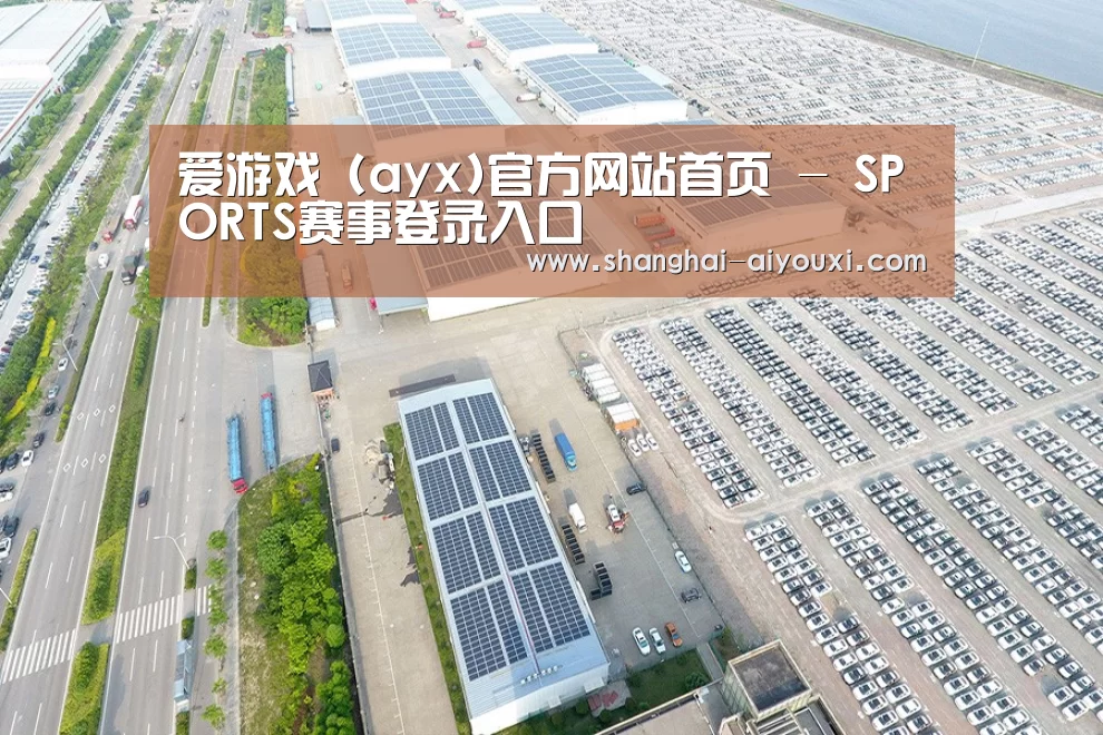 案例展示四