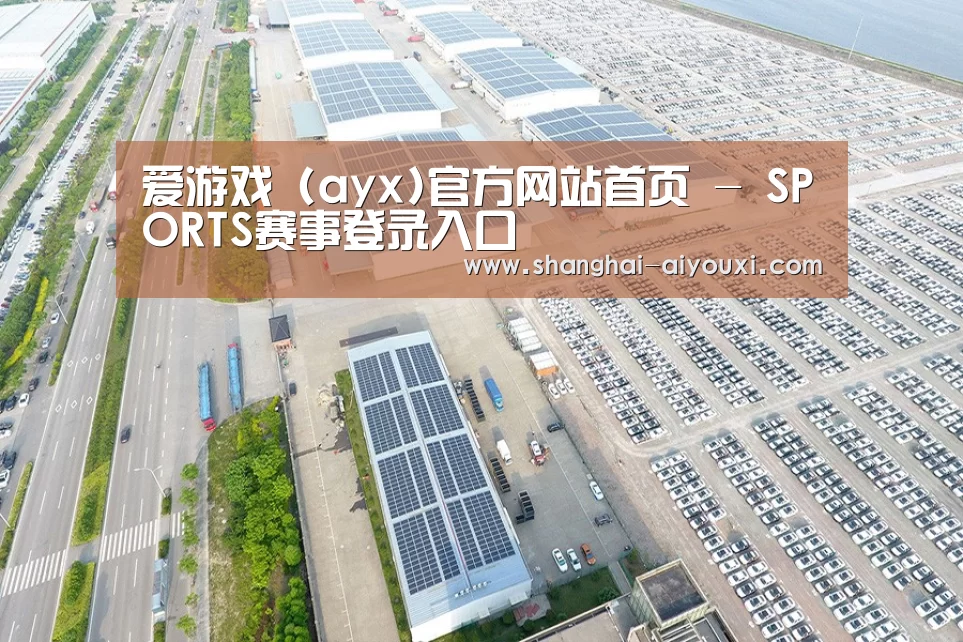 案例展示三