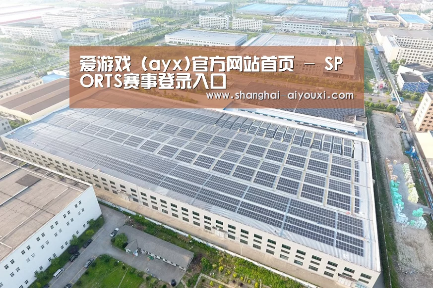 案例展示四